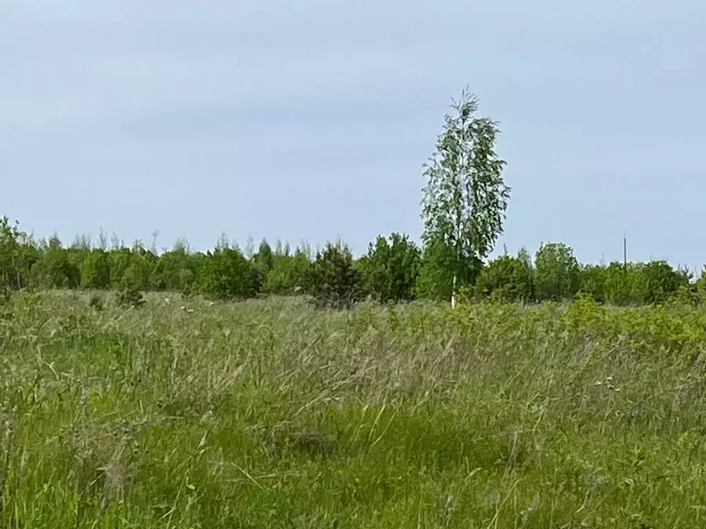 Участок в Пермский край, Осинский муниципальный округ  (15.0 сот.) - Фото 1