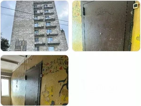 Свободной планировки кв. Пермский край, Березники ул. Мира, 44 (11.0 ... - Фото 1