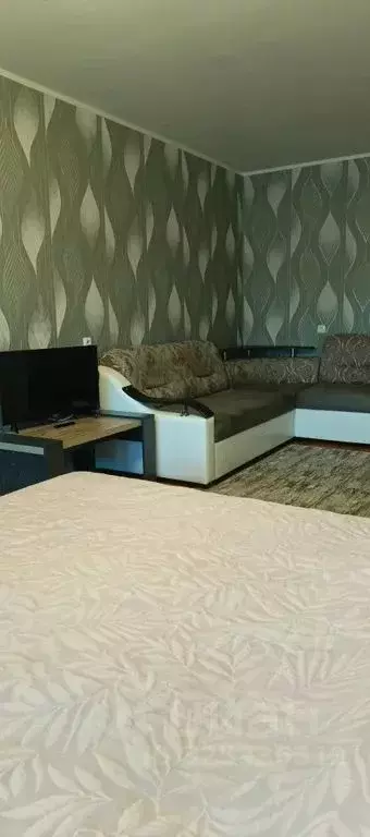 1-к кв. Псковская область, Псков Коммунальная ул., 70 (39.0 м) - Фото 2