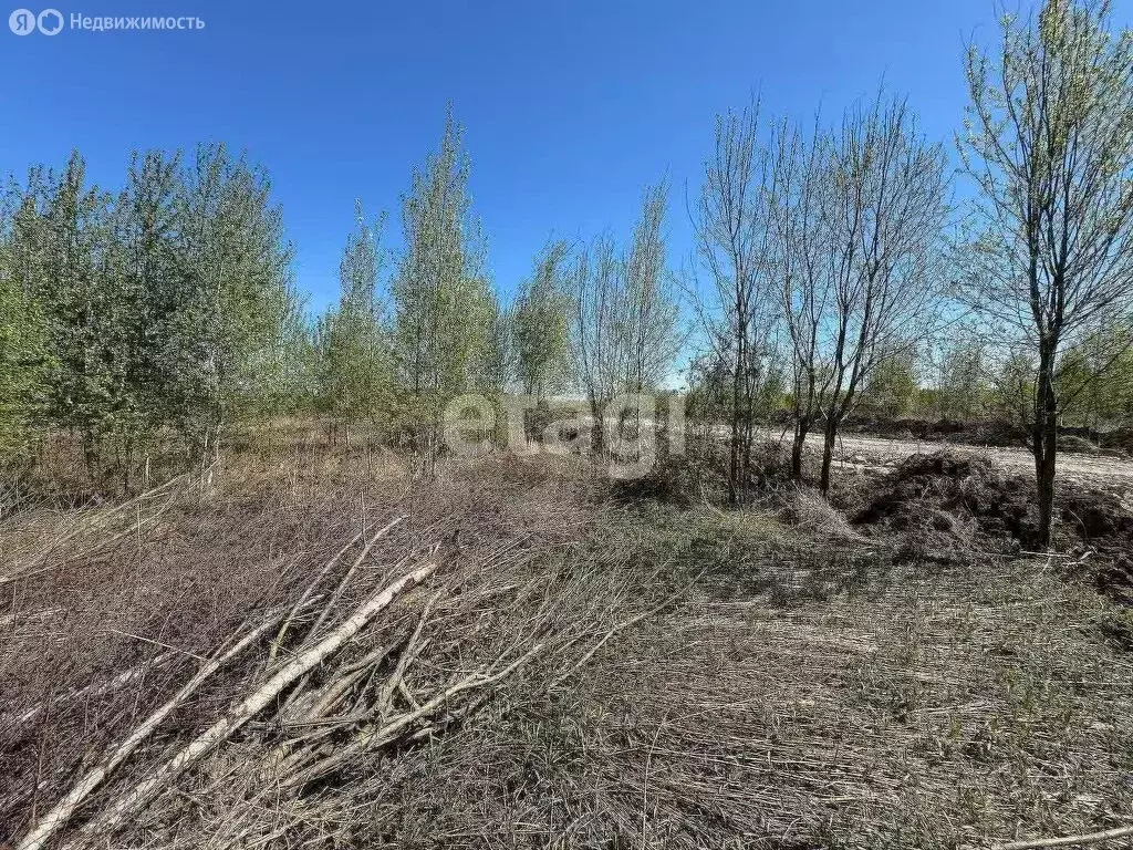 Участок в Калининградская область, Гурьевский муниципальный округ, ... - Фото 1