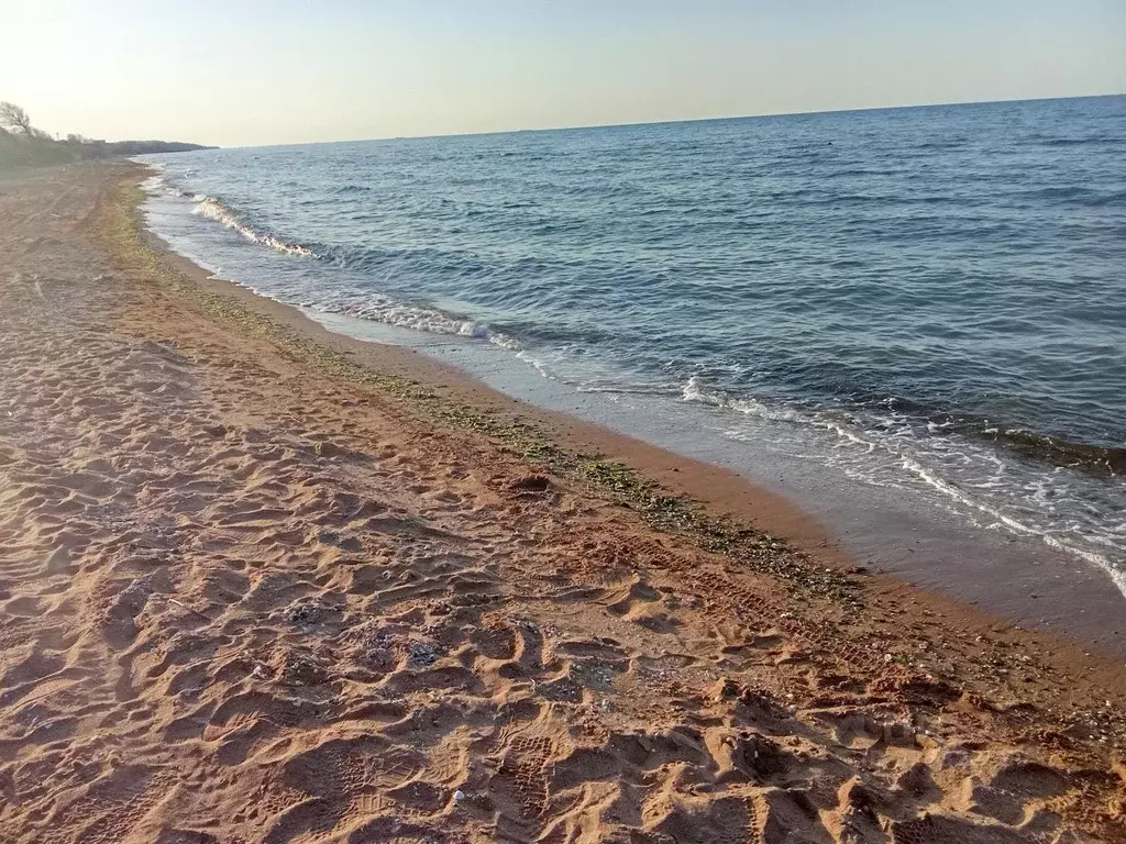 Участок в Краснодарский край, Темрюкский район, Голубицкое с/пос, ... - Фото 1