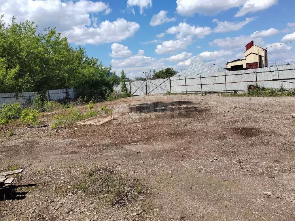 Участок в Белгородская область, Строитель Яковлевский городской округ, ... - Фото 1