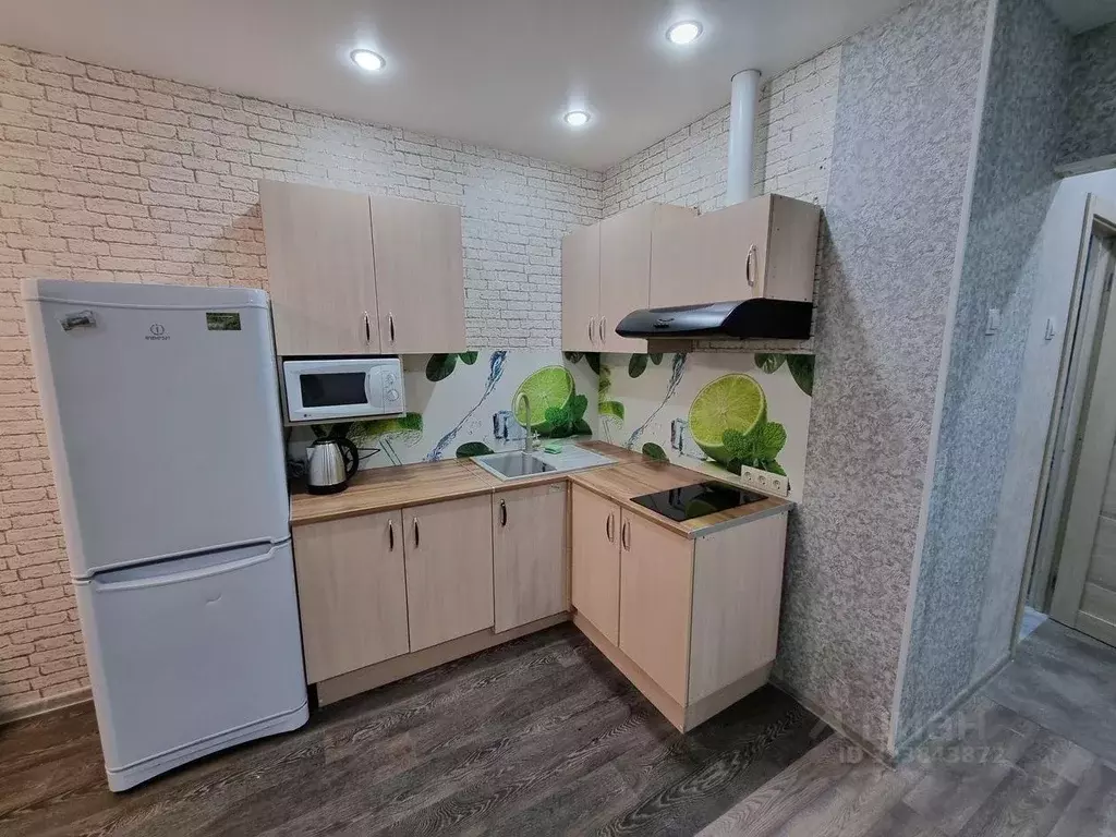 Студия Московская область, Подольск городской округ, д. Борисовка ул. ... - Фото 2