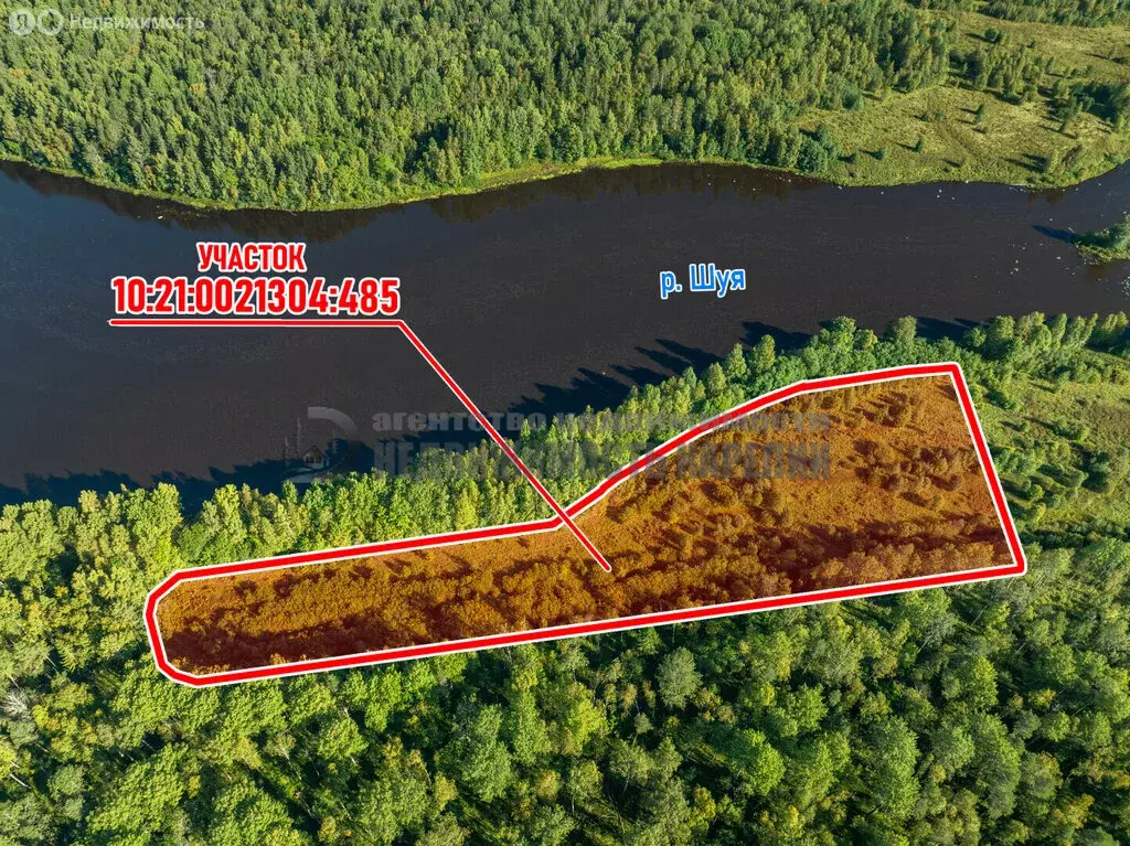 Участок в Республика Карелия, Пряжинское городское поселение, деревня ... - Фото 2