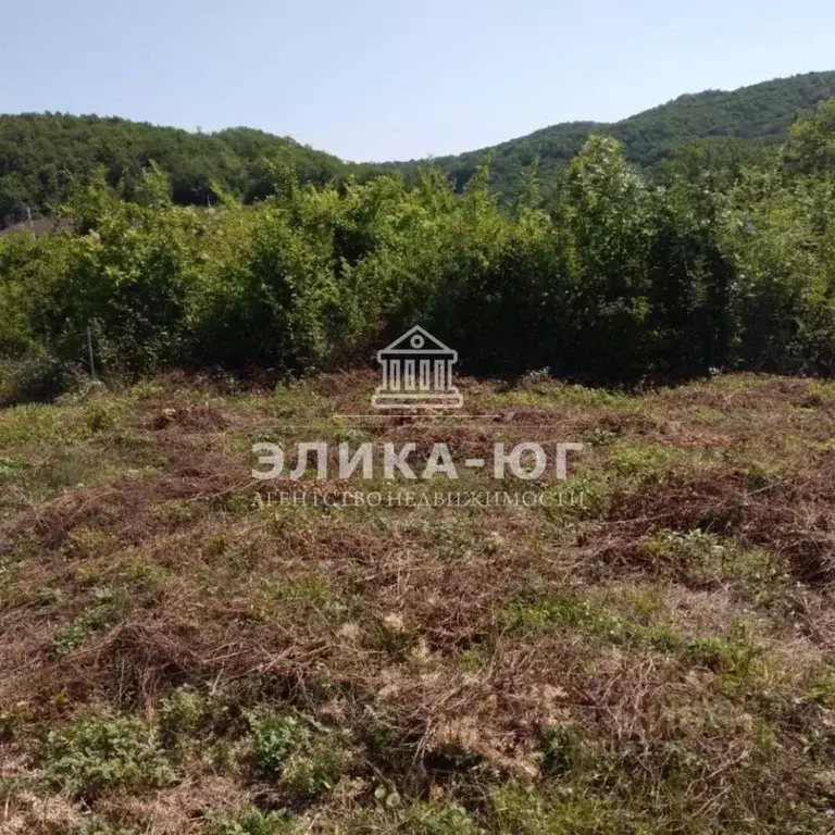 Участок в Краснодарский край, Туапсинский муниципальный округ, с. ... - Фото 1