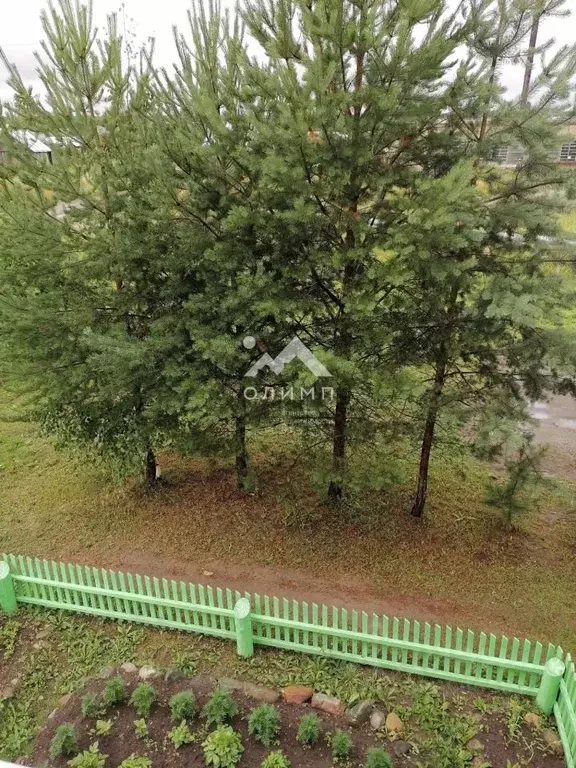 1-к кв. Вологодская область, Сокольский муниципальный округ, д. ... - Фото 2