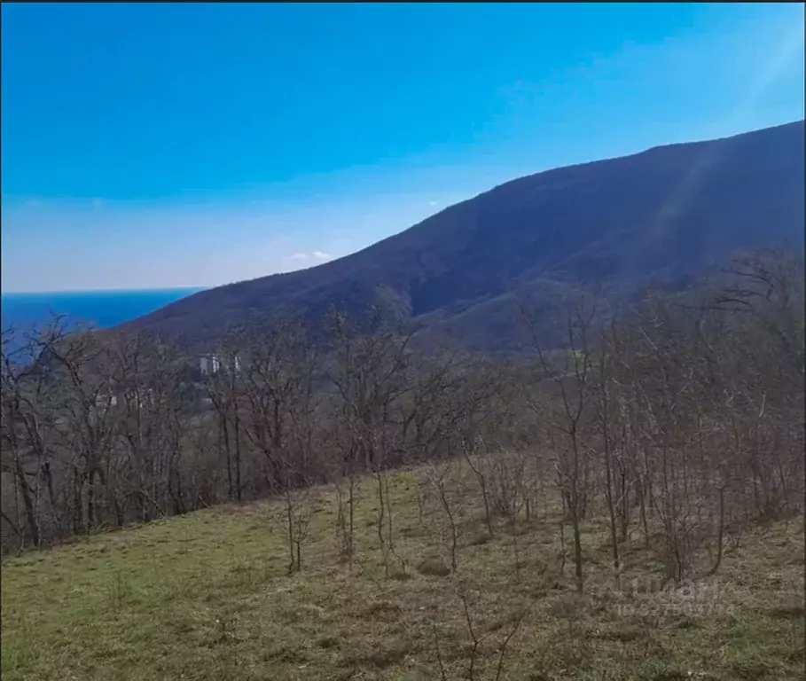 Участок в Крым, Алушта муниципальный округ, Партенит пгт  (10.0 сот.) - Фото 2