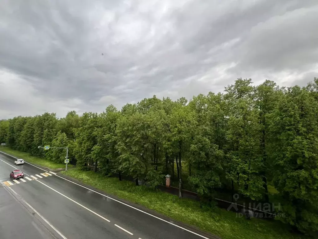 1-к кв. Татарстан, Казань ул. Олега Кошевого, 10 (29.0 м) - Фото 1