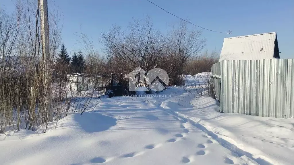 Участок в Новосибирская область, Новосибирск Лилия СНТ, 633 (7.1 сот.) - Фото 2