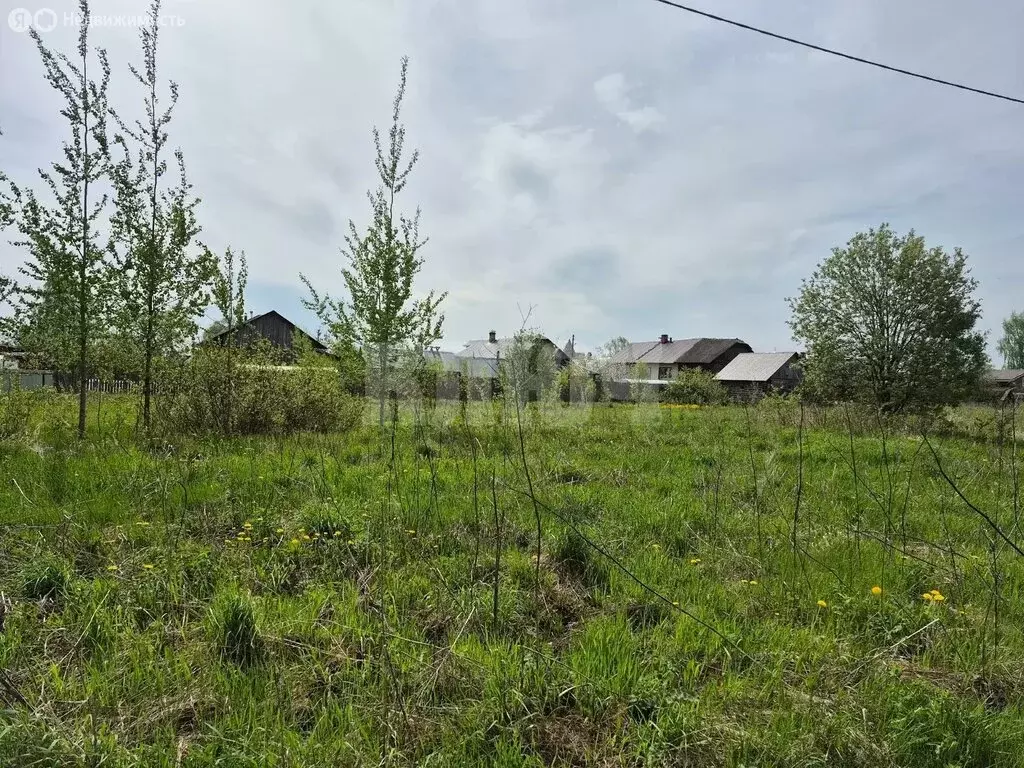 Участок в Вологодская область, Сокол (9 м) - Фото 2