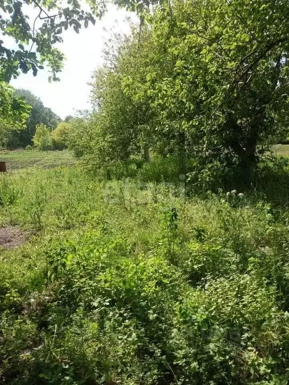 Участок в Белгородская область, Старооскольский городской округ, с. ... - Фото 0