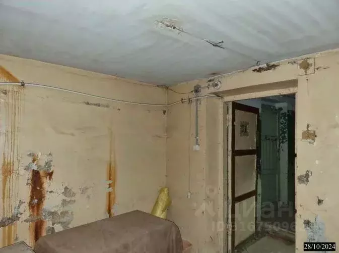 Помещение свободного назначения в Нижегородская область, Нижний ... - Фото 1