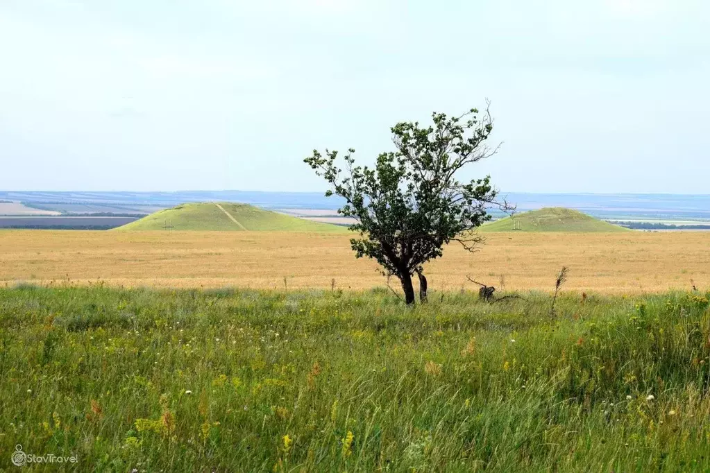 Участок в Ставропольский край, Грачевский муниципальный округ, Кизилов ... - Фото 2