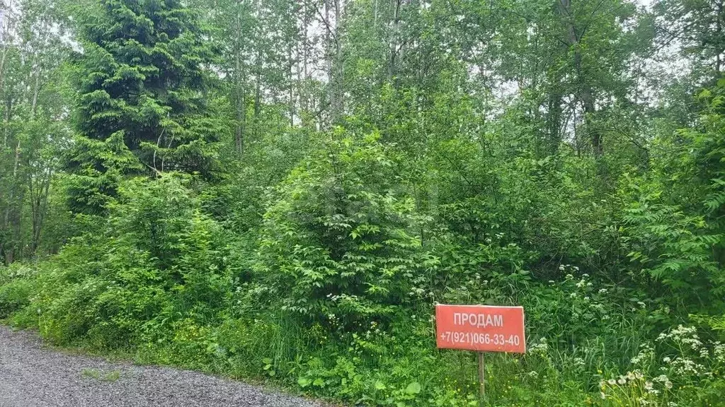 Участок в Вологодская область, Череповец ул. Ванчикова (8.0 сот.) - Фото 0