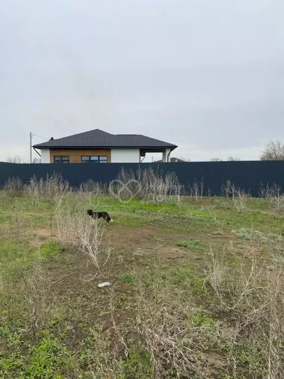 Участок в Волгоградская область, Среднеахтубинский район, Ахтубинское ... - Фото 1