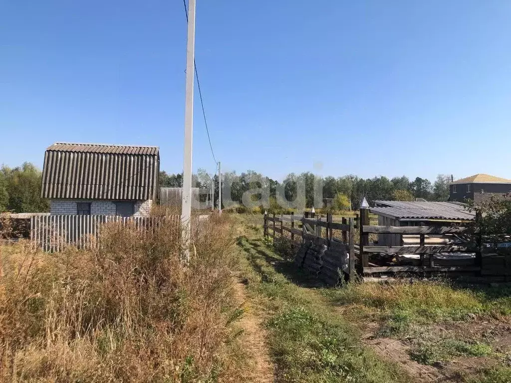 Участок в Брянская область, Стародуб Заря садоводческое товарищество,  ... - Фото 1