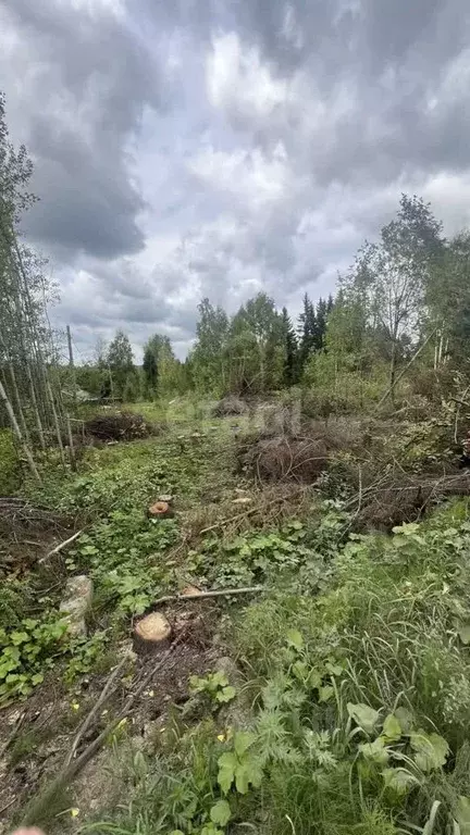 Участок в Коми, Сыктывкар Тентюково мкр,  (7.4 сот.) - Фото 2