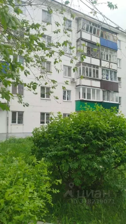 2-к кв. Самарская область, Сызрань Кадровая ул., 41 (41.0 м) - Фото 0