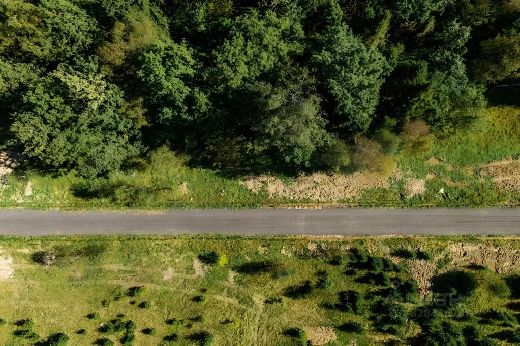 Участок в Московская область, Истра муниципальный округ, д. Дубровское ... - Фото 2