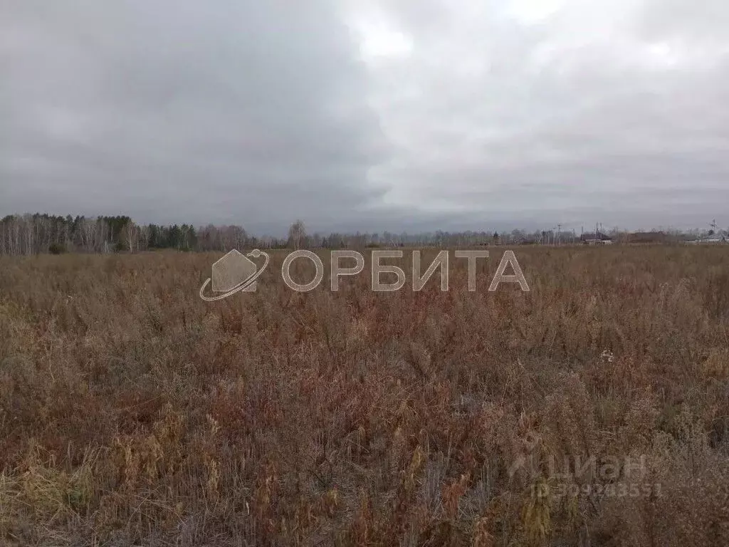 Участок в Тюменская область, Тюменский район, с. Каменка  (15.0 сот.) - Фото 1