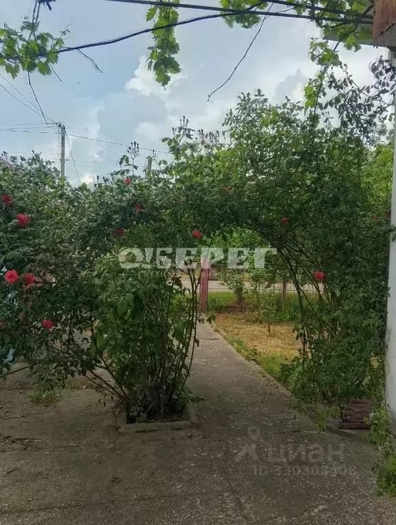 Дом в Краснодарский край, Анапа муниципальный округ, с. Джигинка ул. ... - Фото 1