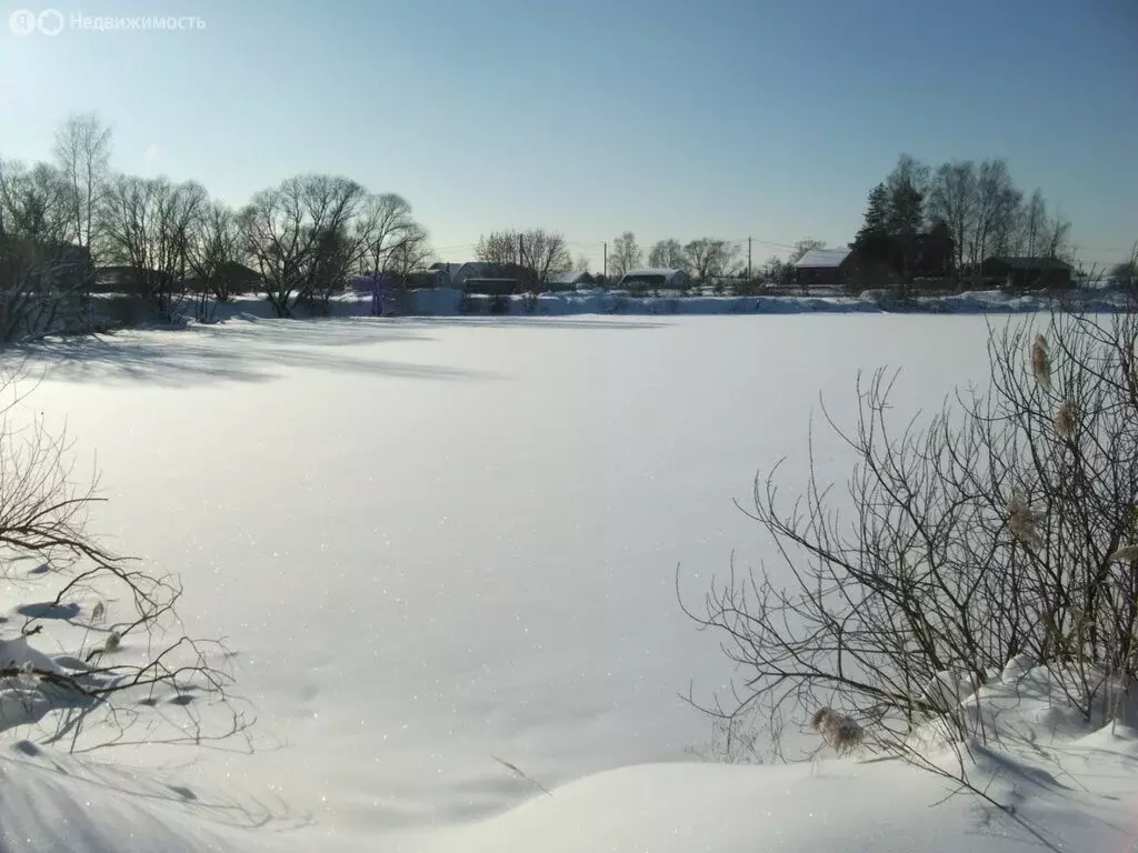 Участок в Московская область, Раменский муниципальный округ, село ... - Фото 2