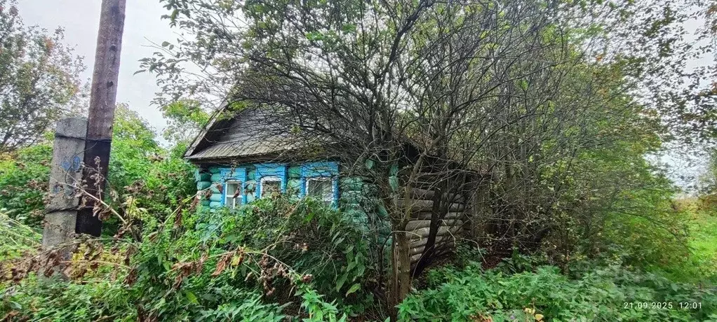 Дом в Нижегородская область, Бутурлинский муниципальный округ, с. ... - Фото 1