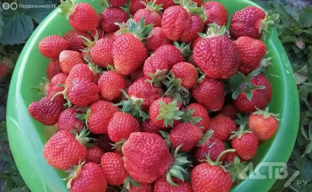 Дом в Златоуст, СНТ Ленина-5, 4-я улица (20 м) - Фото 2