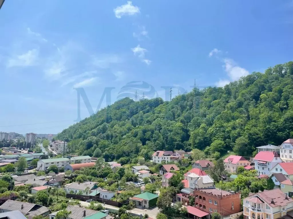 Студия Краснодарский край, Сочи городской округ, Дагомыс пгт ул. ... - Фото 1