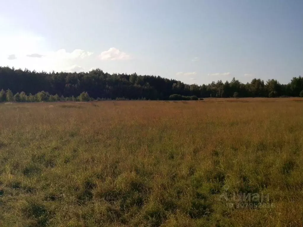 Участок в Московская область, Раменский городской округ, д. Поддубье  ... - Фото 0