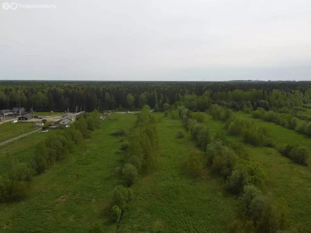 Участок в Всеволожский район, Романовское сельское поселение, посёлок ... - Фото 2