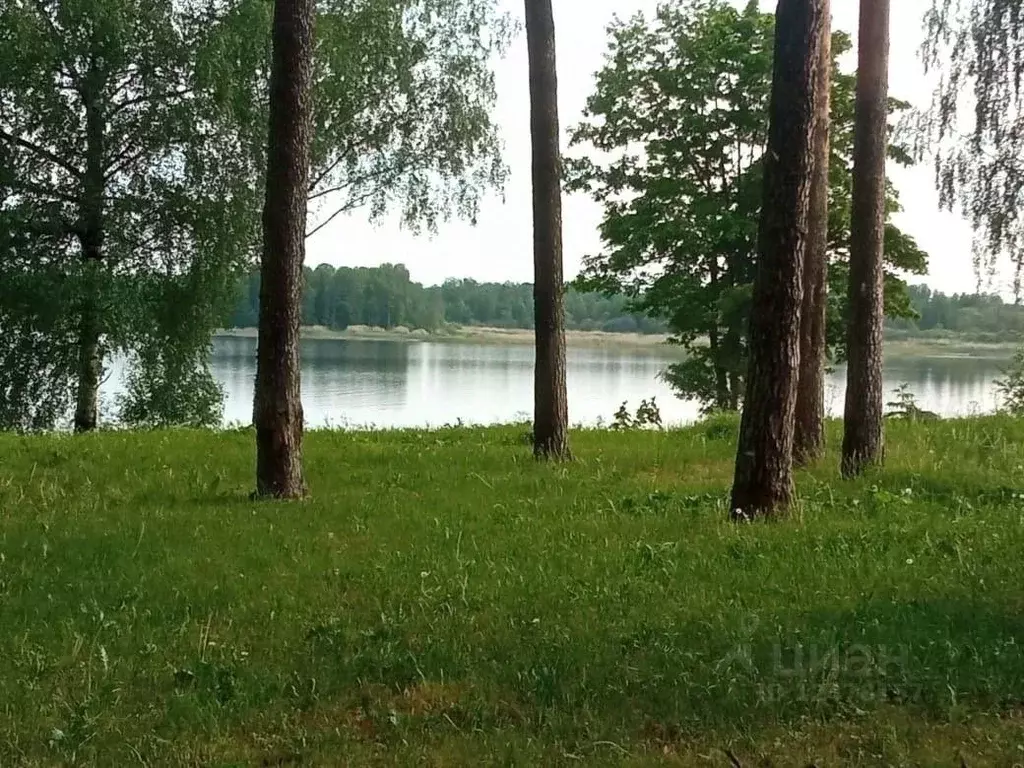 Купить Участок В Деревне Лужского Района