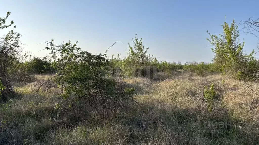 Участок в Краснодарский край, Анапа муниципальный округ, пос. Верхнее ... - Фото 1