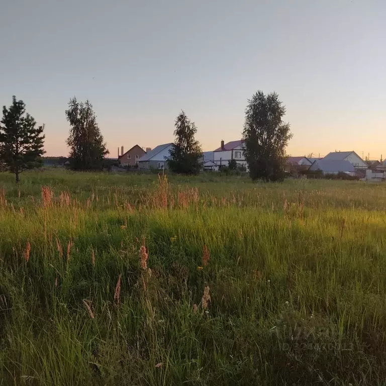 Участок в Ульяновская область, Чердаклинский район, Богдашкинское ... - Фото 2