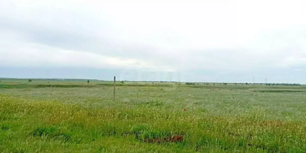 Участок в Крым, Ленинский район, с. Луговое ул. Шагиняна (458.0 сот.) - Фото 0