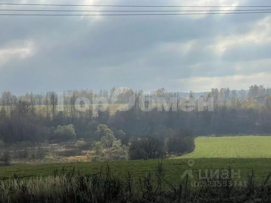 Дом в Тверская область, Зубцовский муниципальный округ, с. Погорелое ... - Фото 1