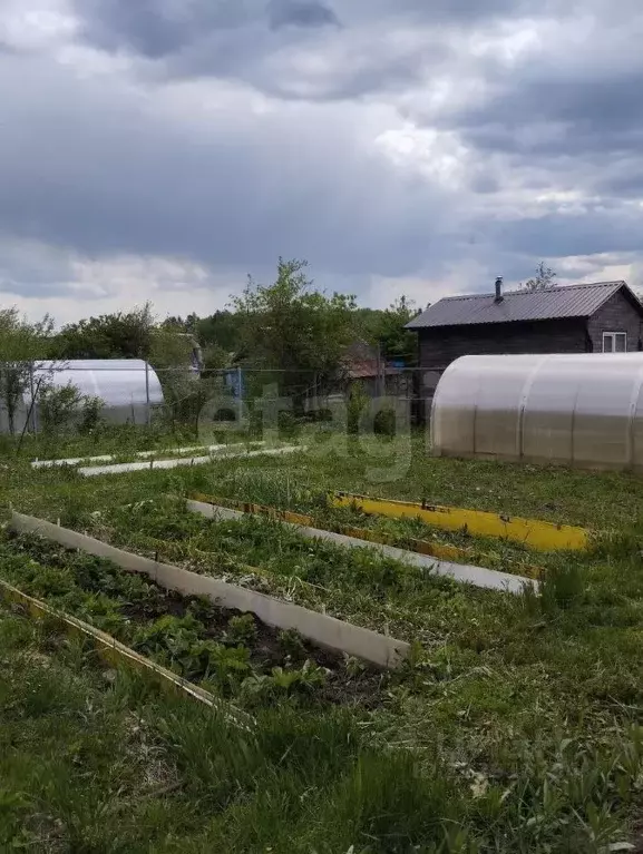Дом в Марий Эл, Йошкар-Ола Мичуринец СНТ, 5/6 (20 м) - Фото 1