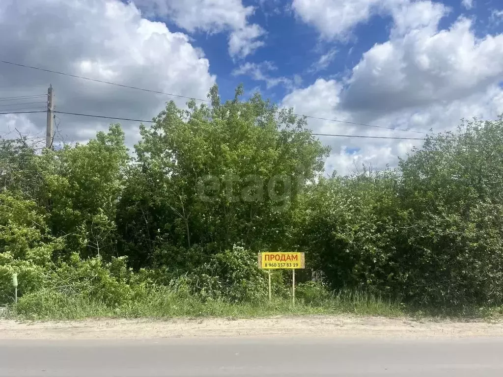 Участок в Саратовская область, Балашов Республиканская ул., 171А ... - Фото 2