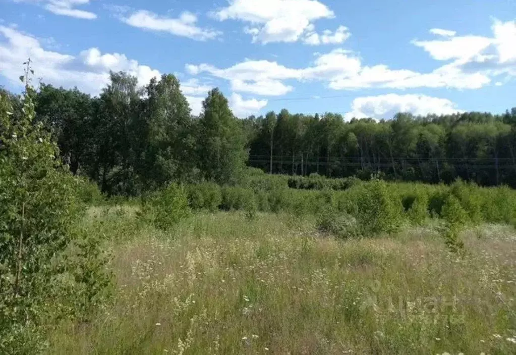 Участок в Нижегородская область, Богородский муниципальный округ, ... - Фото 1