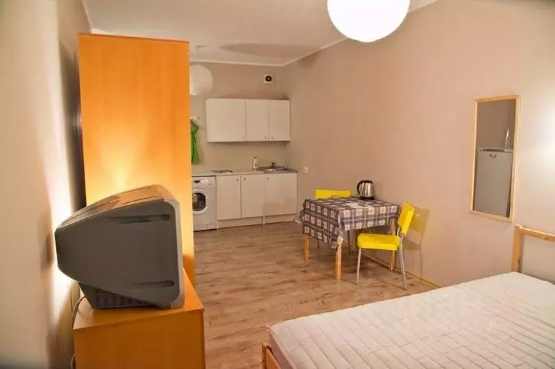 Студия Санкт-Петербург Пулковская ул., 8к4 (26.0 м) - Фото 2