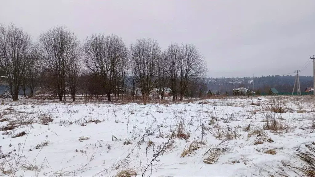 Участок в Московская область, Сергиево-Посадский городской округ, д. ... - Фото 2
