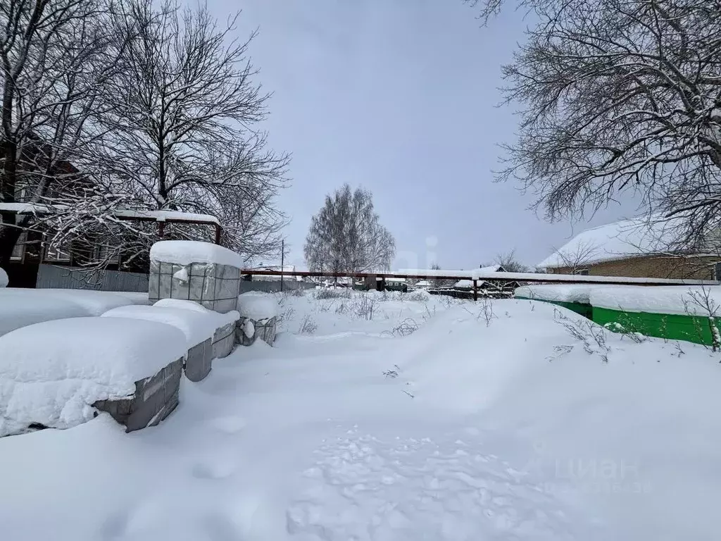 Участок в Нижегородская область, Выкса городской округ, Досчатое рп ... - Фото 2