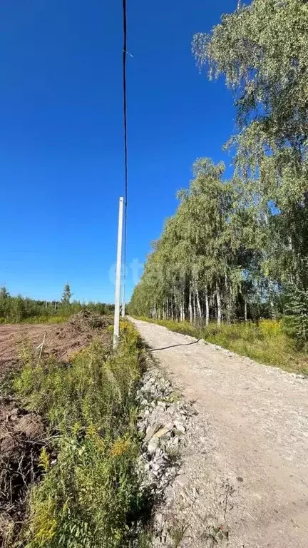 Участок в Нижегородская область, Кстовский муниципальный округ, с. ... - Фото 1