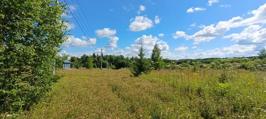 Участок в Пермский край, Пермский район, пос. Протасы  (10.0 сот.) - Фото 2