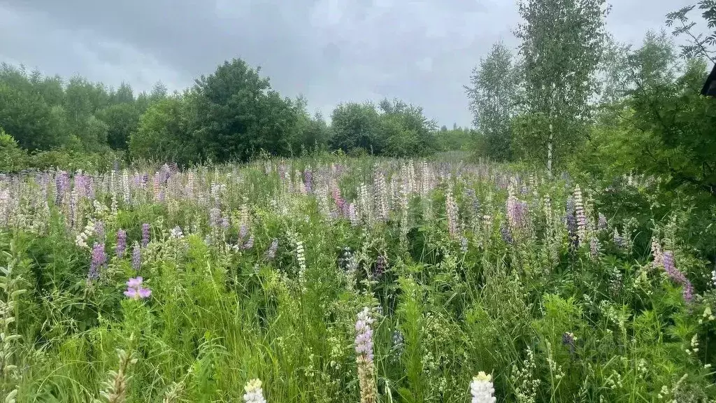 Участок в Башкортостан, Бирск Кленовый Мыс КС,  (10.0 сот.) - Фото 1