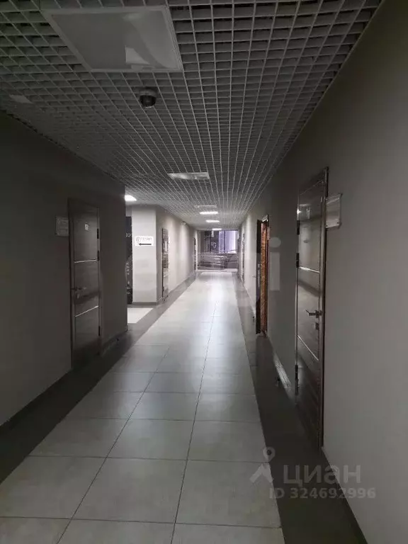 Офис в Воронежская область, Воронеж Средне-Московская ул., 62а (61 м) - Фото 2