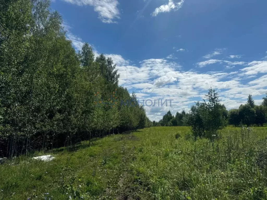 Участок в Нижегородская область, Кстовский муниципальный округ, с. ... - Фото 0