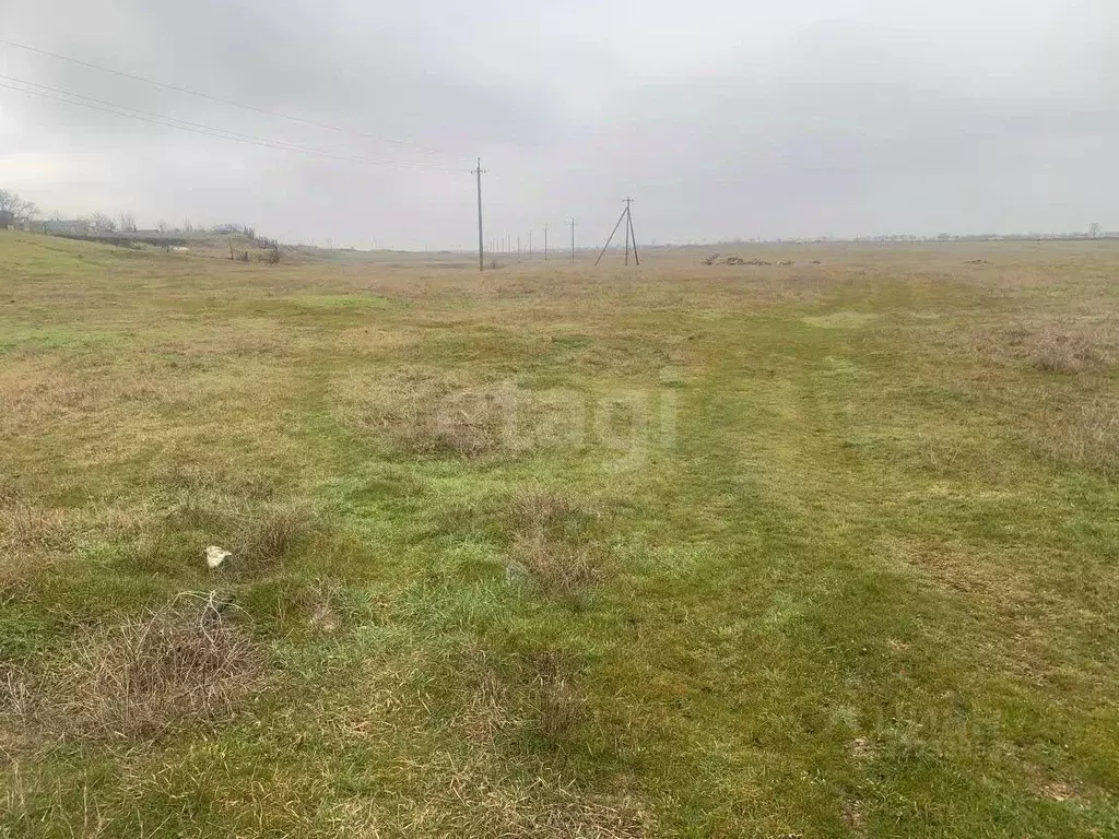 Участок в Крым, с. Ленинское  (462.13 сот.) - Фото 2