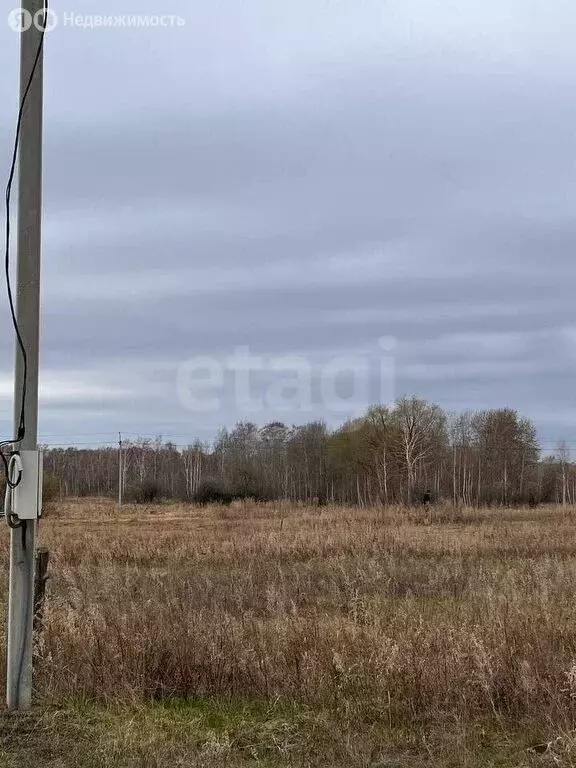 Участок в Омский район, село Усть-Заостровка (14.99 м) - Фото 1