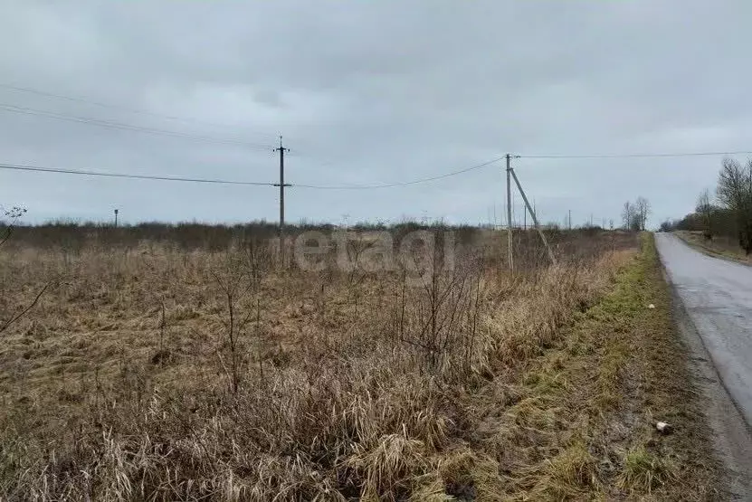 Участок в Псковская область, Псковский муниципальный округ, ... - Фото 1